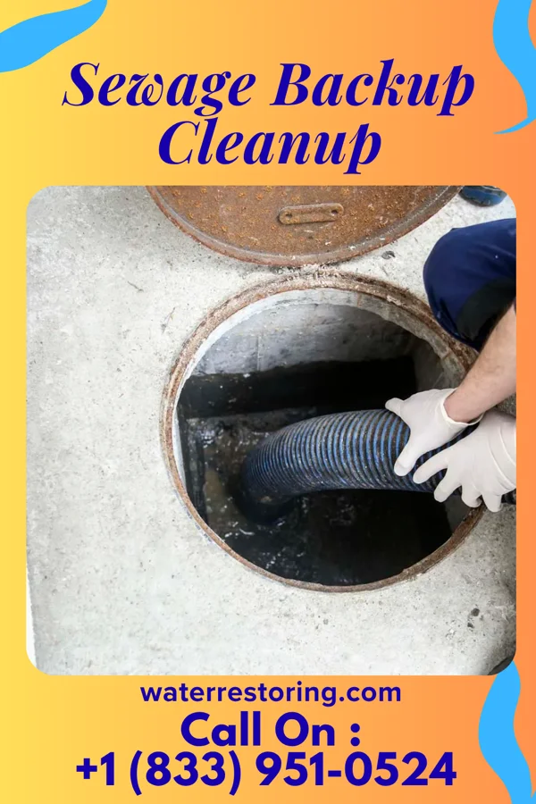 Sewage Backup Cleanup in J.F. Villareal, TX